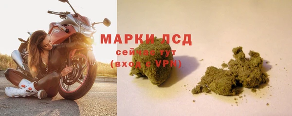 мдпв Анива